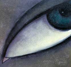 Eye